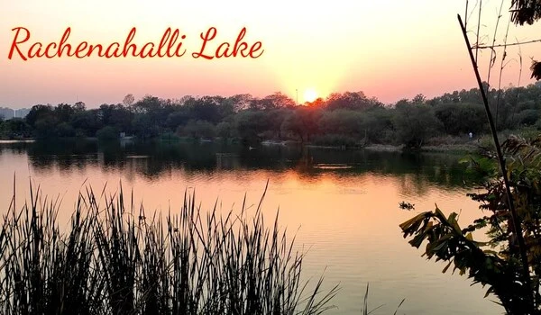 Featured Image of Rachenahalli Lake